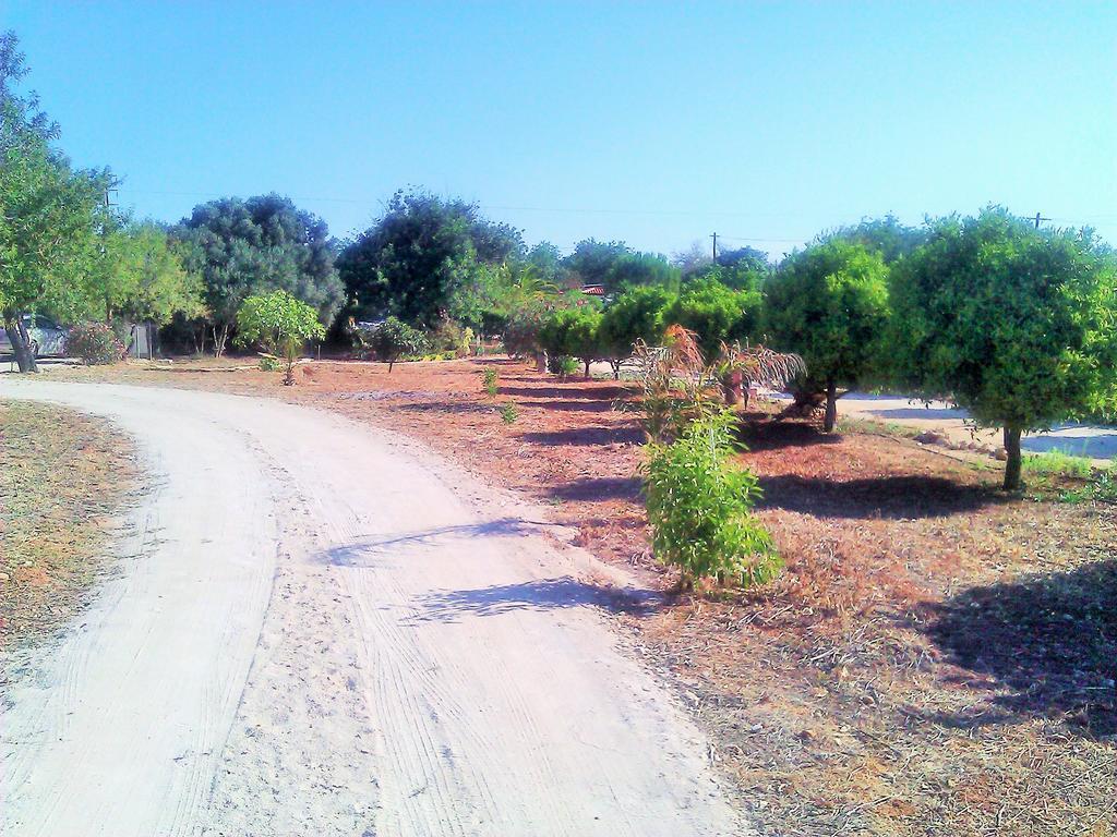 Quinta Casalinho Villa Albufeira Eksteriør bilde
