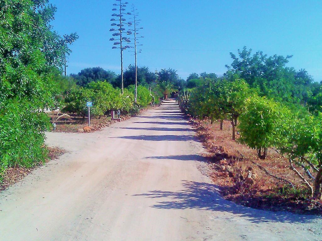 Quinta Casalinho Villa Albufeira Eksteriør bilde
