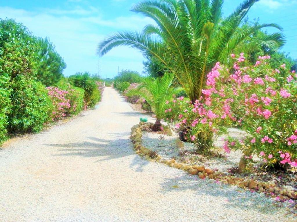 Quinta Casalinho Villa Albufeira Eksteriør bilde